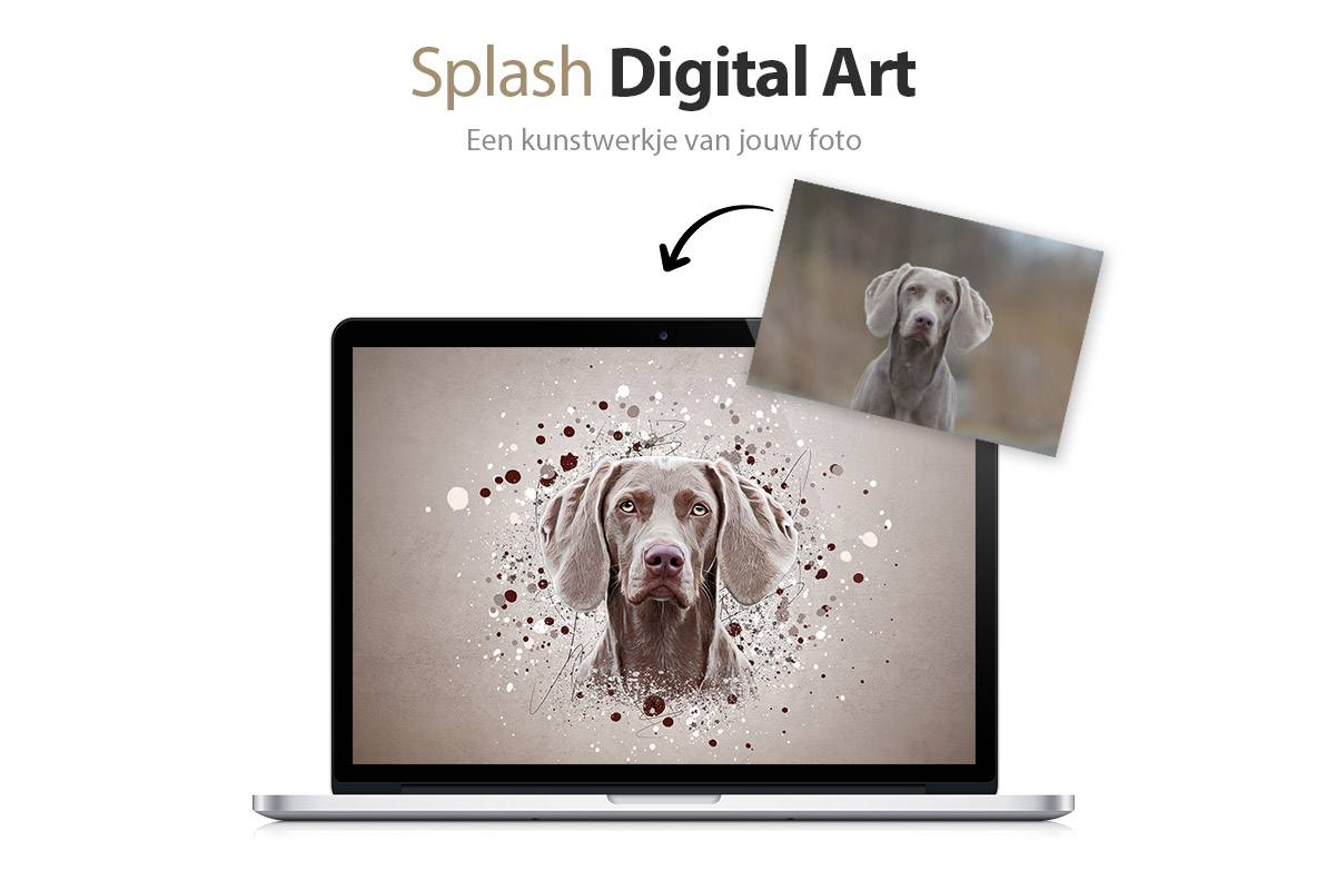 Digital-art-Splash